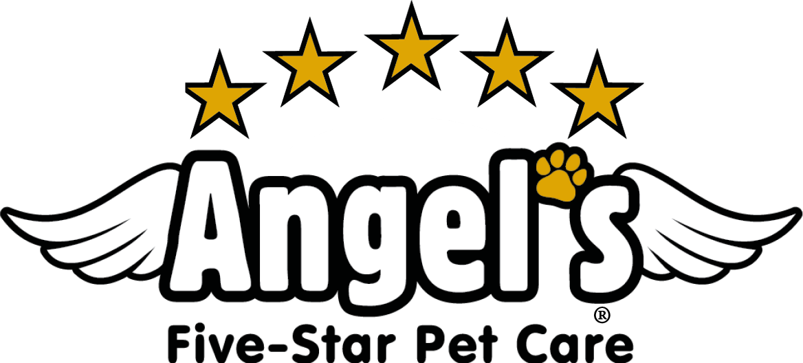 angels five star pet care
