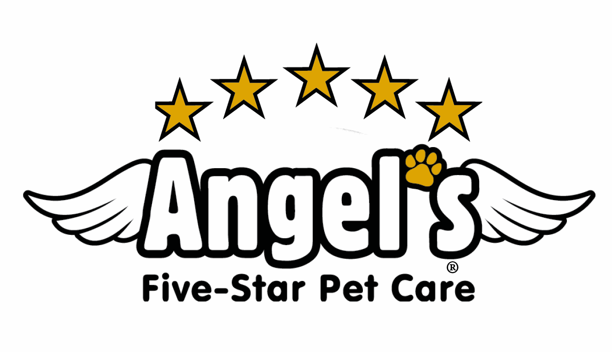 angels five star pet care
